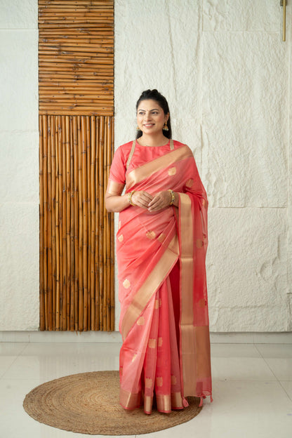 Tissue Silk Saree
