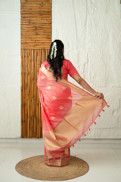 Tissue Silk Saree