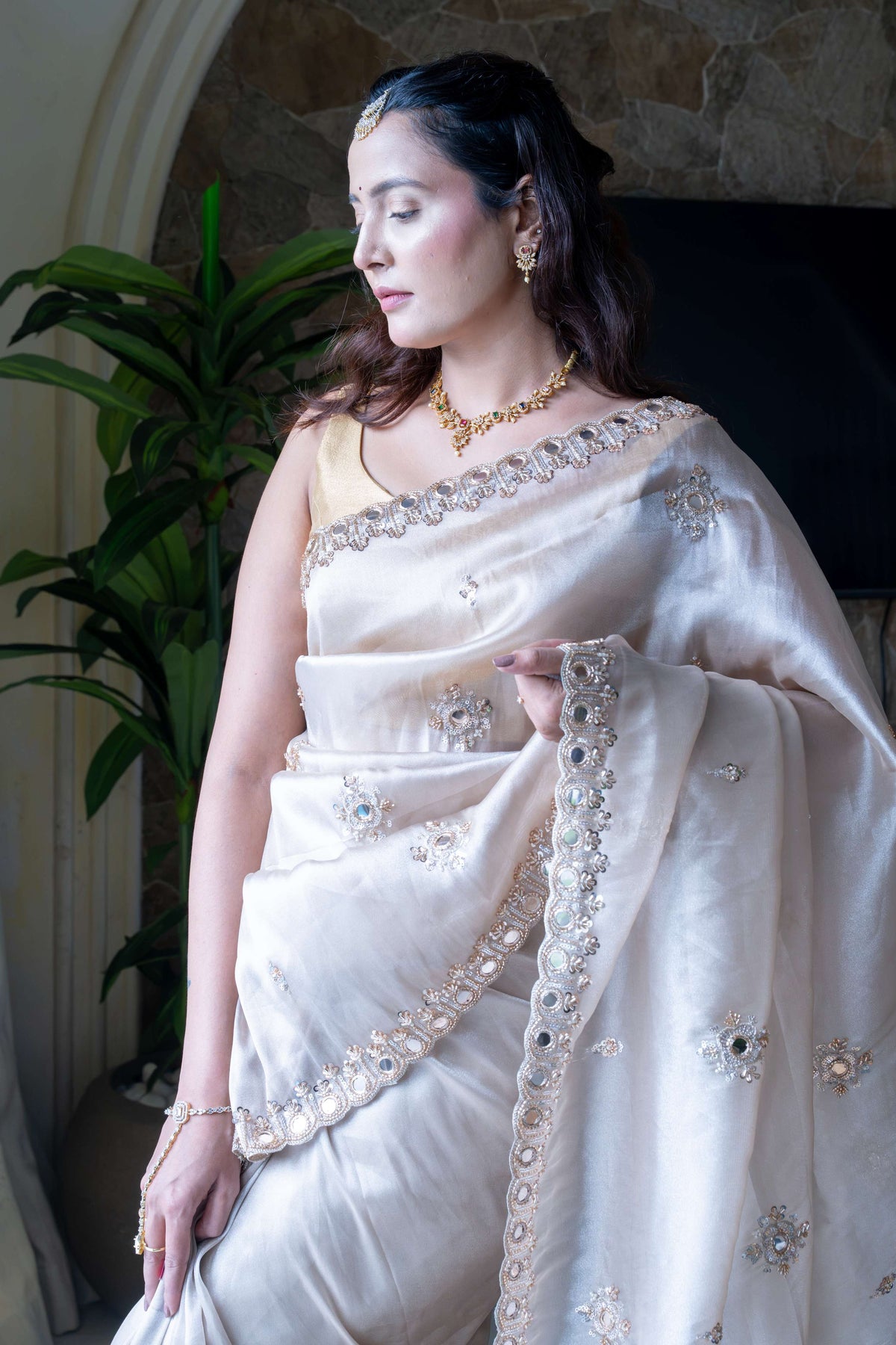 Premium Tissue Organza Saree